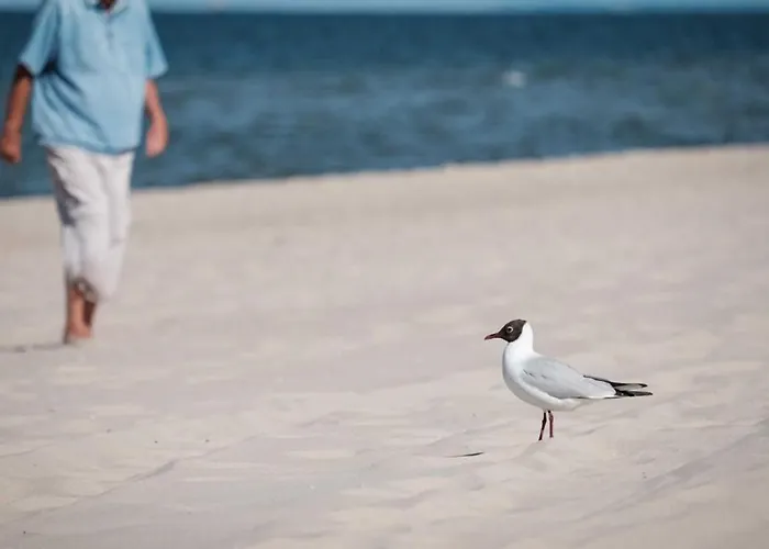 Bernstein_ferienwohnungen شقة زيمبين